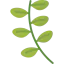Basil アイコン 64x64