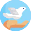 Dove icon 64x64