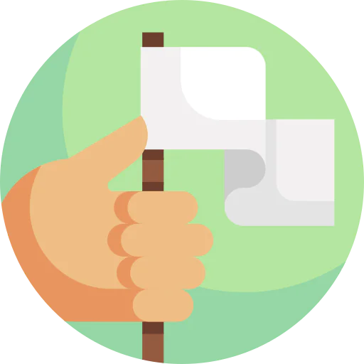 Flag icon