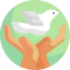 Dove icon 64x64