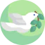 Dove icon 64x64