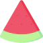 Watermelon icon 64x64