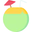 Coconut icon 64x64