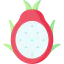 Dragon fruit icon 64x64