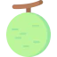 Cantaloupe icon 64x64