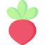 Radish icon 64x64