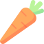 Carrot icon 64x64