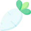 Radish icon 64x64