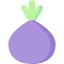 Onion icon 64x64