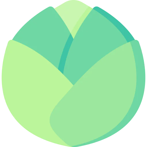 Cabbage icon
