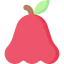 Rose apple 상 64x64