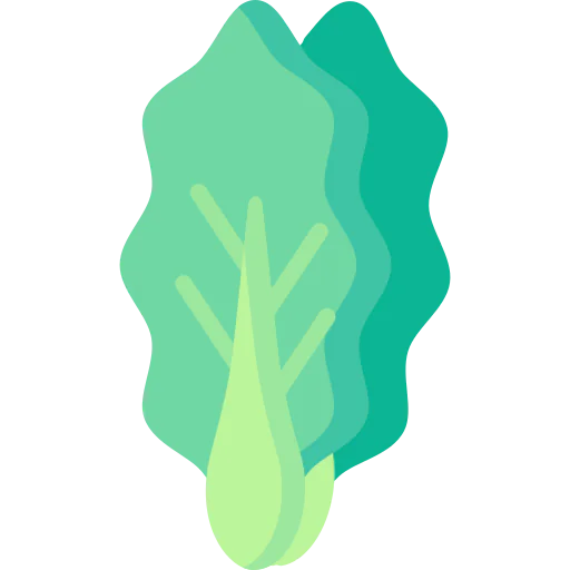 Cabbage icon