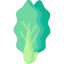 Cabbage Ikona 64x64
