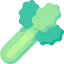 Celery icon 64x64