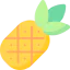Pineapple Symbol 64x64