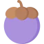 Mangosteen icon 64x64