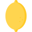 Lemon icon 64x64