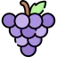 Grapes icon 64x64