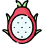 Dragon fruit icon 64x64