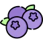 Blueberries icon 64x64