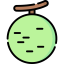 Cantaloupe icon 64x64