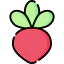 Radish icon 64x64