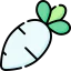 Radish icon 64x64