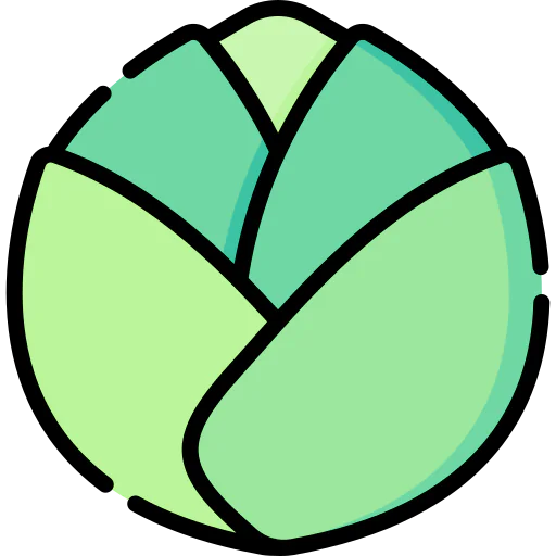 Cabbage icon