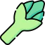 Artichoke biểu tượng 64x64