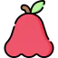 Rose apple 상 64x64