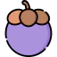 Mangosteen icon 64x64