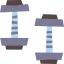 Dumbbells icon 64x64