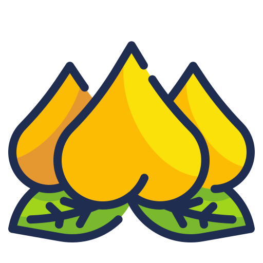 Peach icon