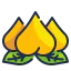 Peach icon 64x64