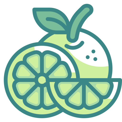 Orange icon