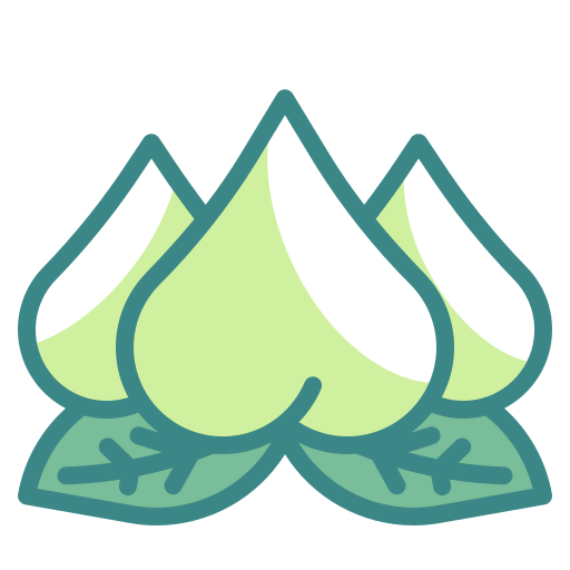 Peach icon