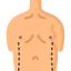 Belly アイコン 64x64
