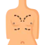 Anatomy 상 64x64