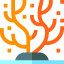 Coral icon 64x64