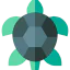 Turtle icône 64x64