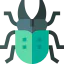 Beetle icône 64x64