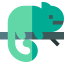 Chameleon icon 64x64