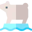 Polar bear icon 64x64