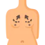 Anatomy 상 64x64