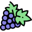 Grapes icon 64x64