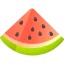Watermelon icon 64x64