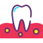 Gum icône 64x64