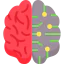 Brain icon 64x64