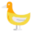 Duck Ikona 64x64