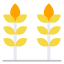Wheat icon 64x64